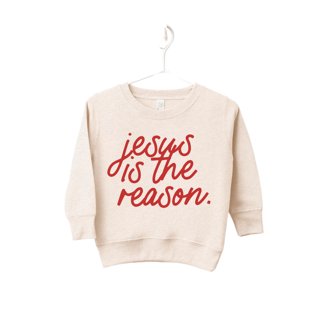 Jesus is the Reason Kids Pullover