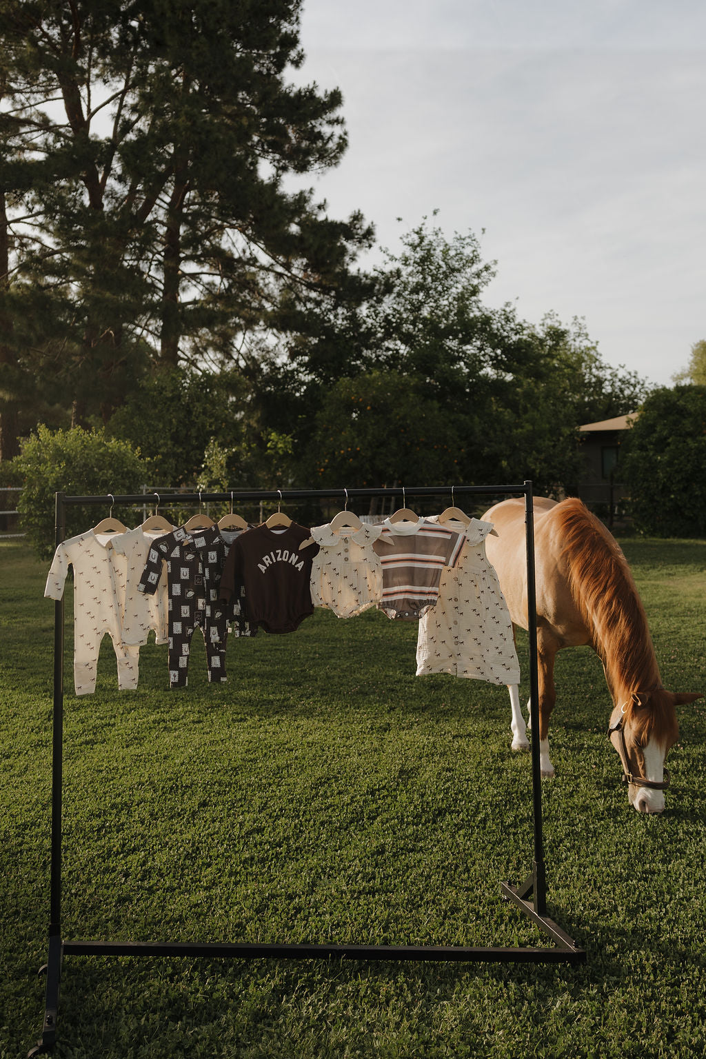 Shortie Bamboo Zip | Wild Horses