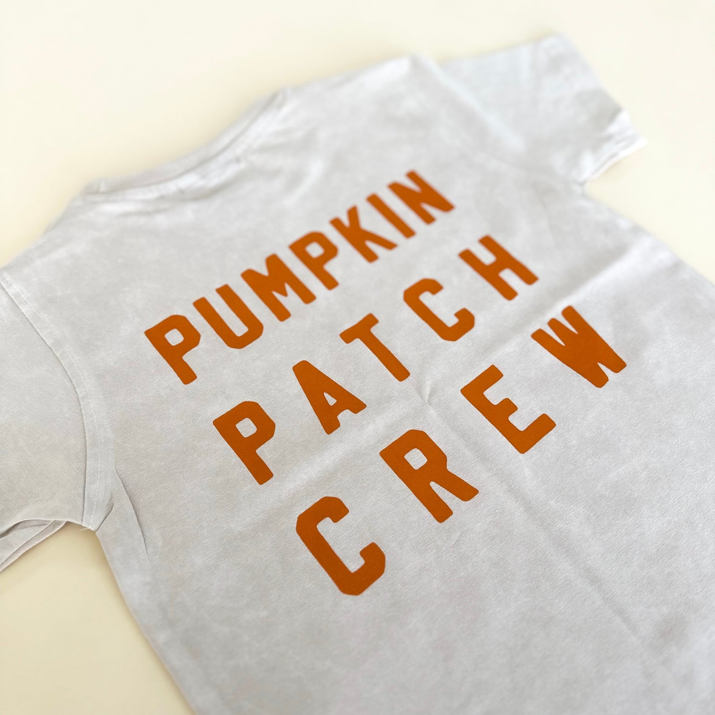 Pumpkin Patch Crew Acid Wash Tee - Neutral