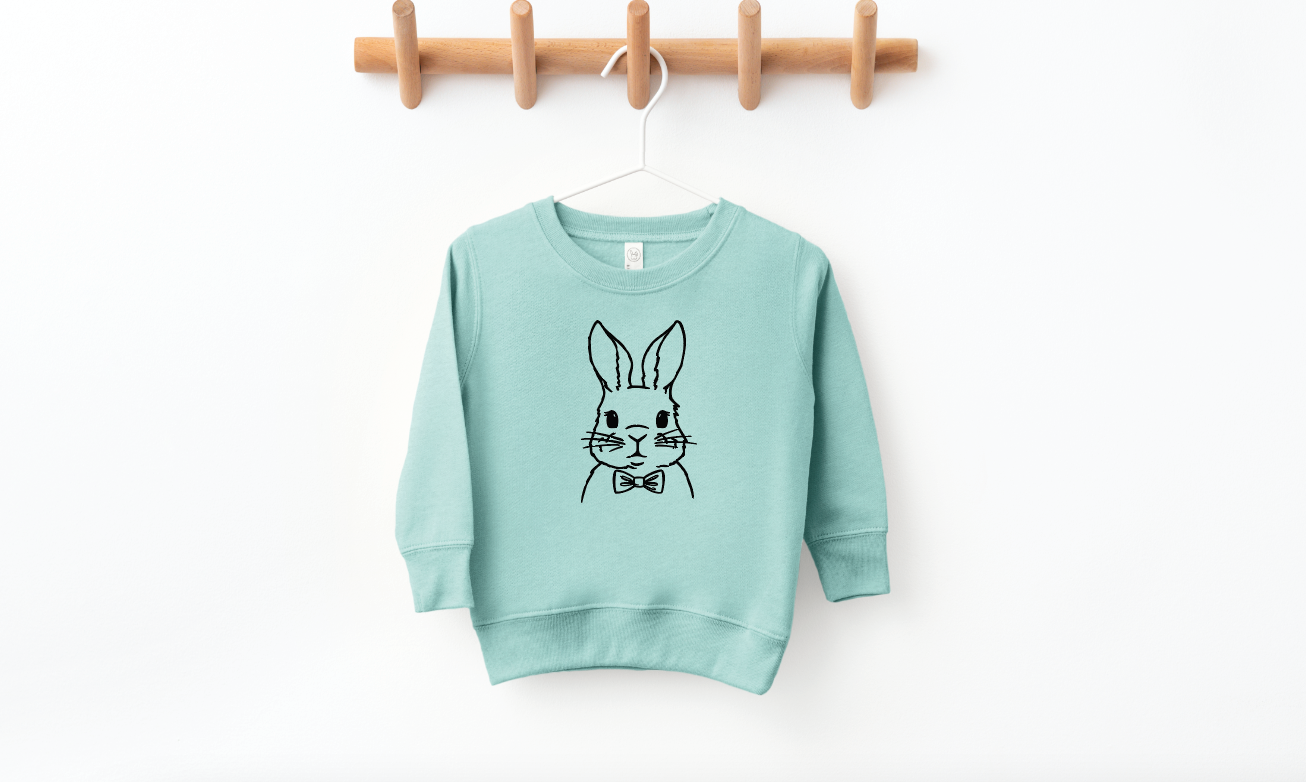 Boy Bunny Pullover
