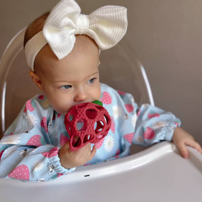 The Grayson Long Sleeve Bib - Strawberry Patch
