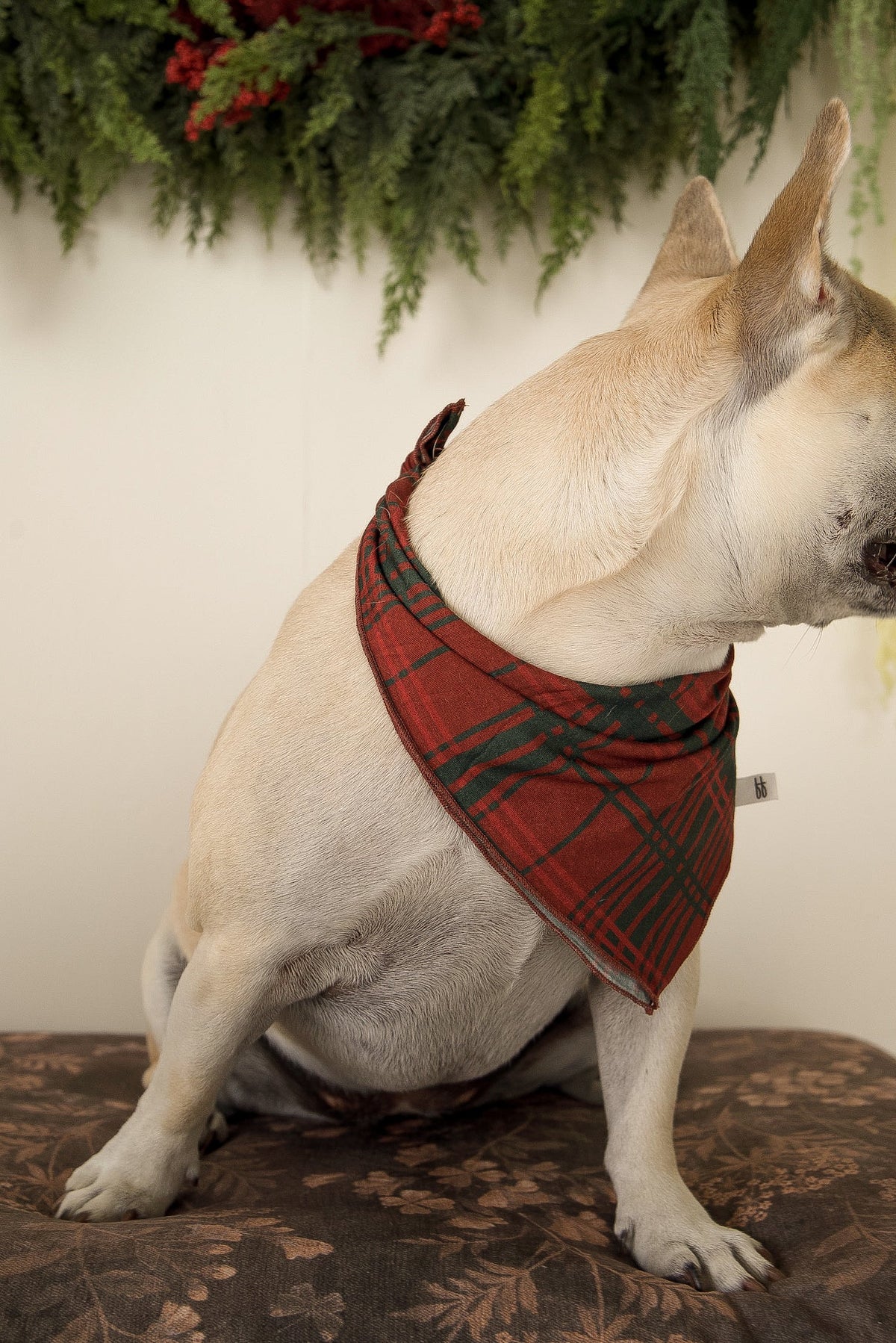 Bamboo Bandana | Christmas Plaid