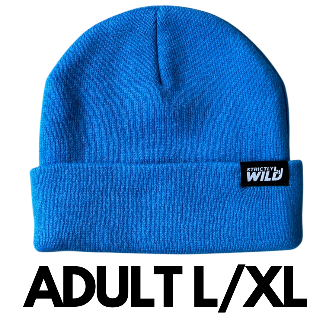 Blue Blitz Beanie
