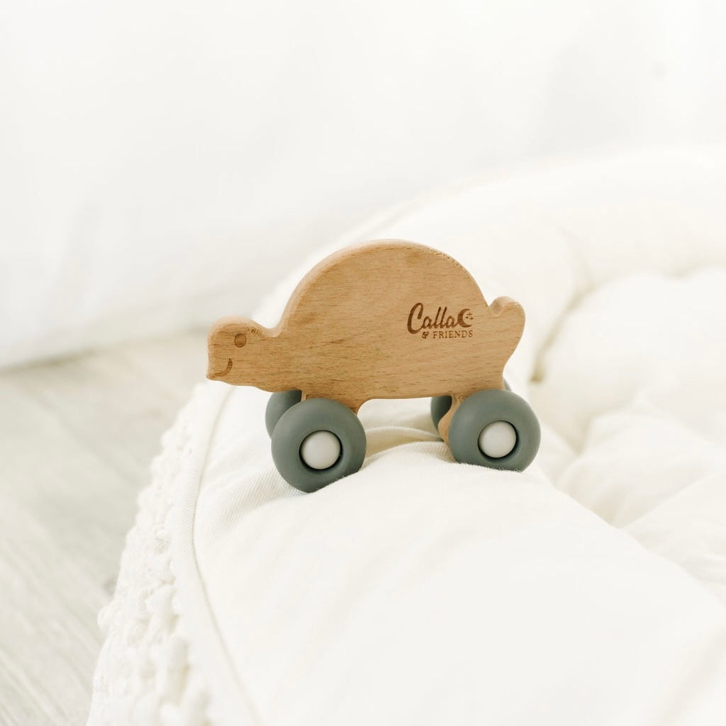 Beechwood Rollin’ Friends - Turtle