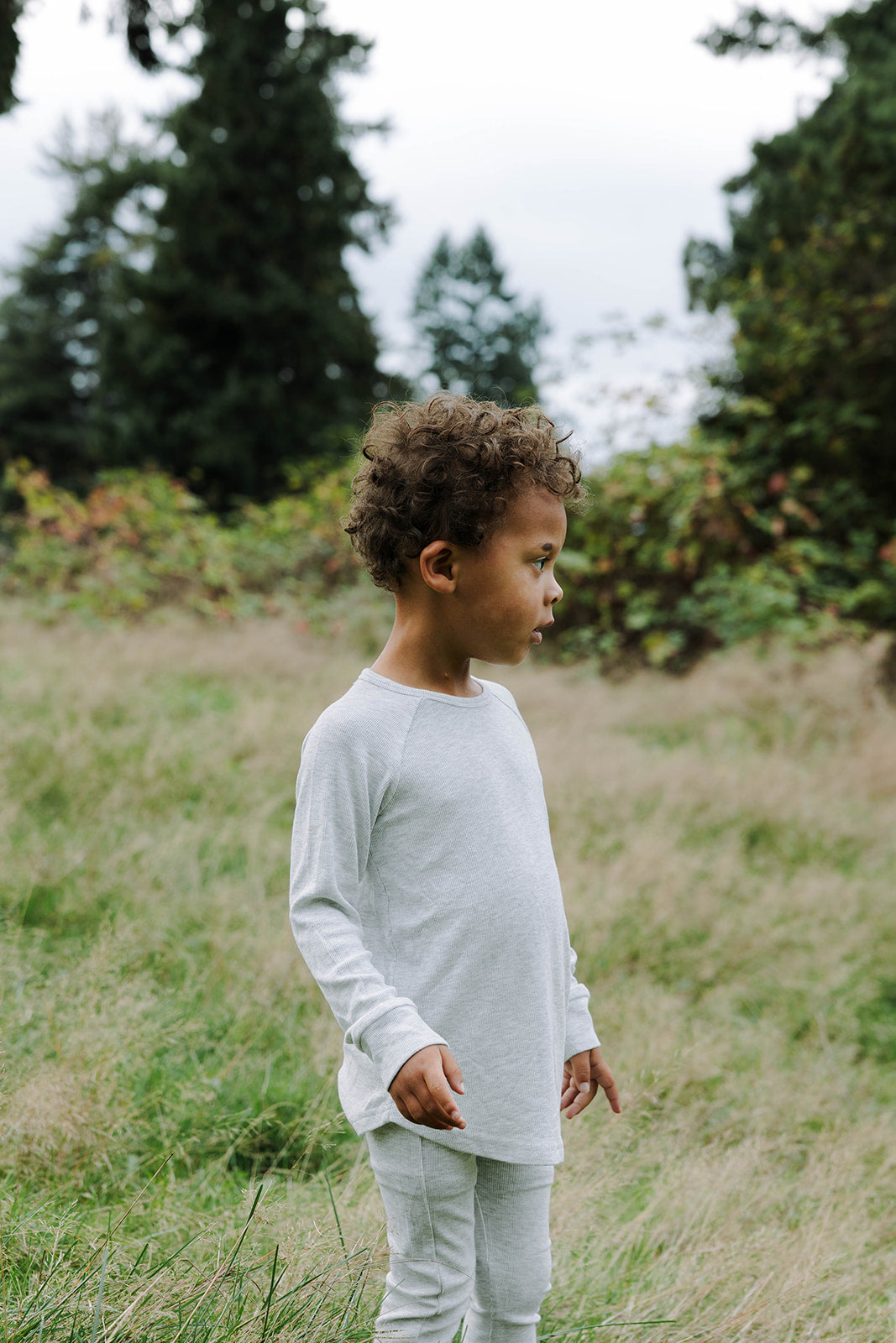 Blazies Long Sleeve - Light Heathered Gray