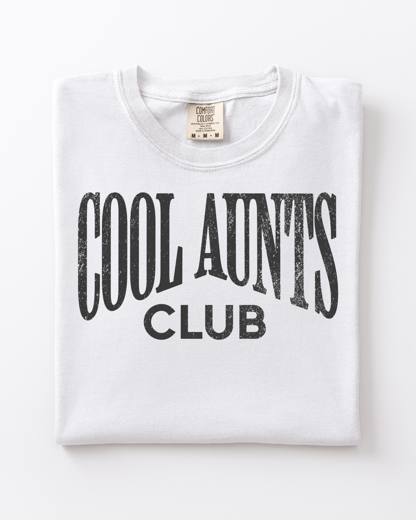 Cool Aunts Club