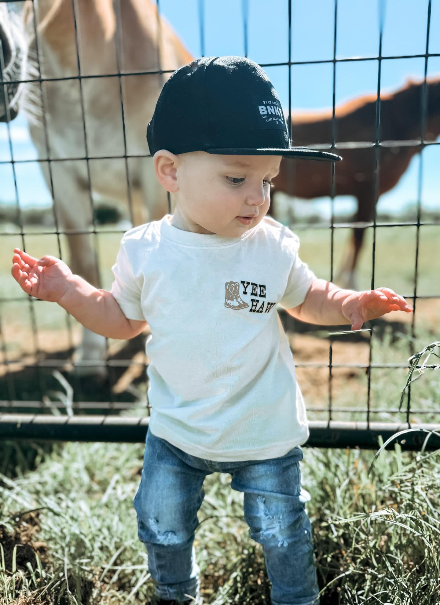 Born to Roam
