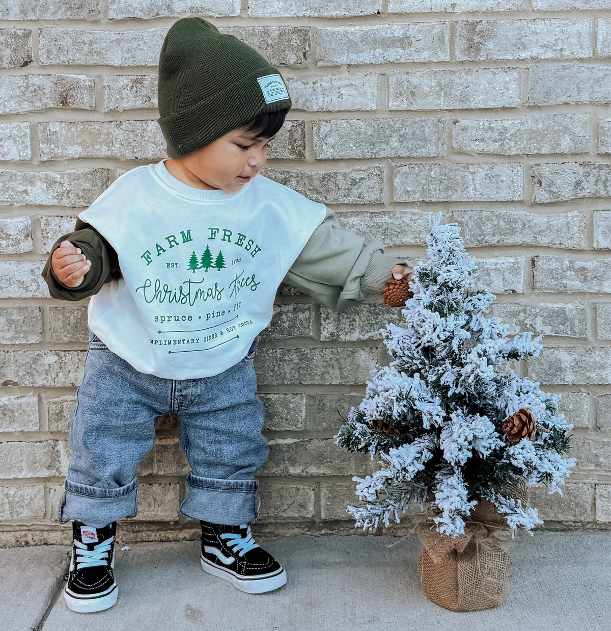 Fresh Farm Christmas Trees