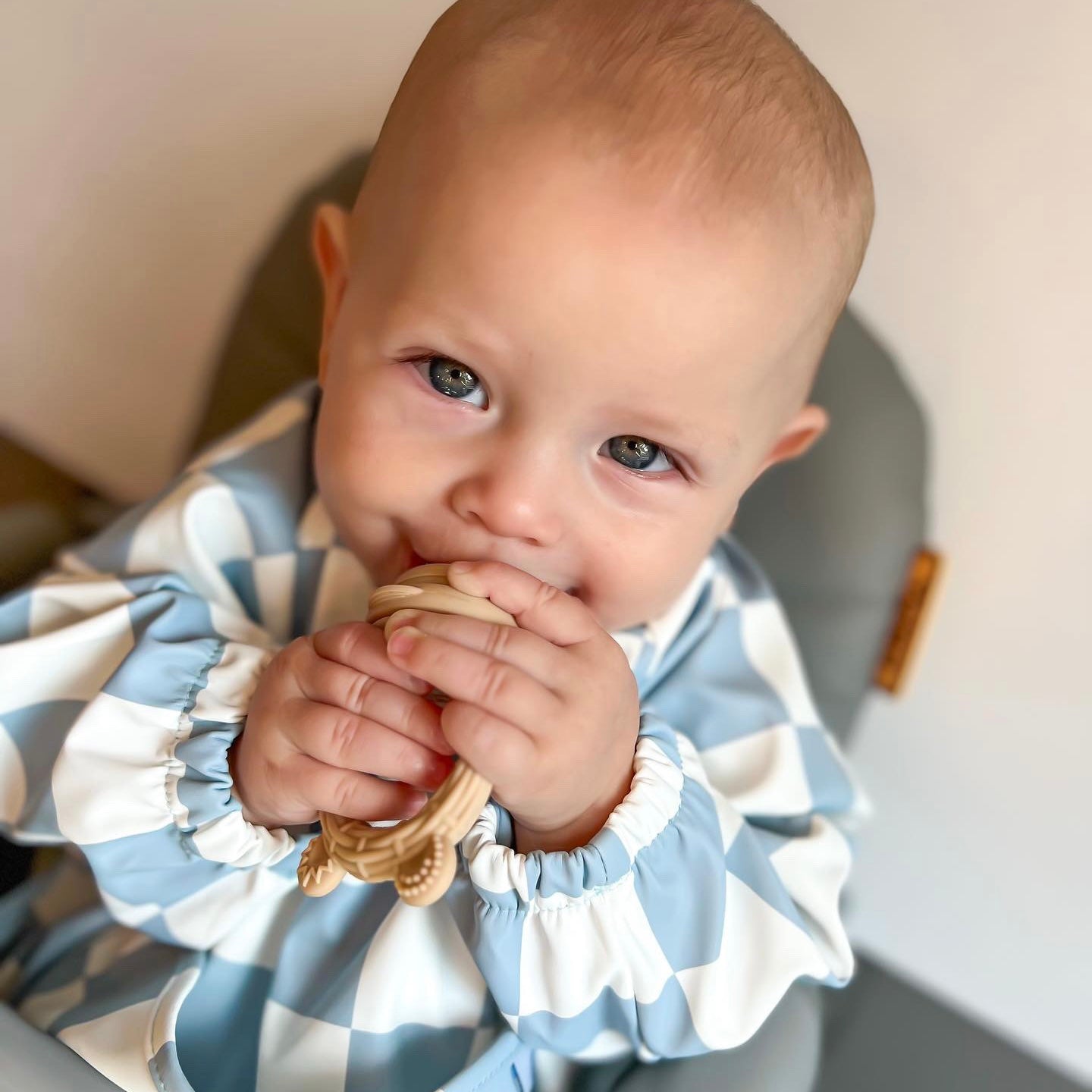 The Nourishing Nibbler Bear Feeder