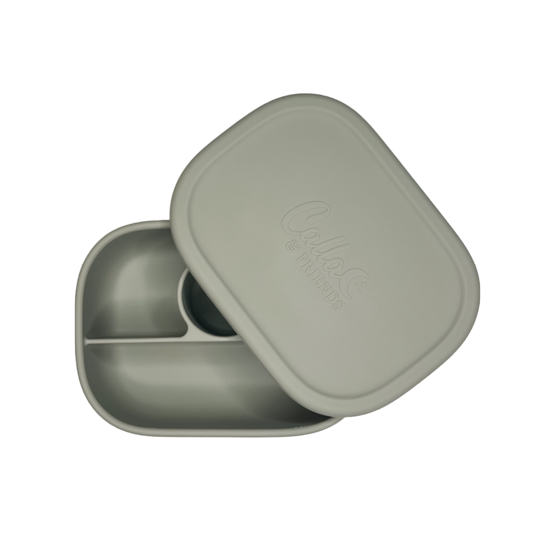 Hayden Bento Box - Pine