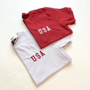 USA Block Embroidered Adult Acid Wash Tee - Neutral