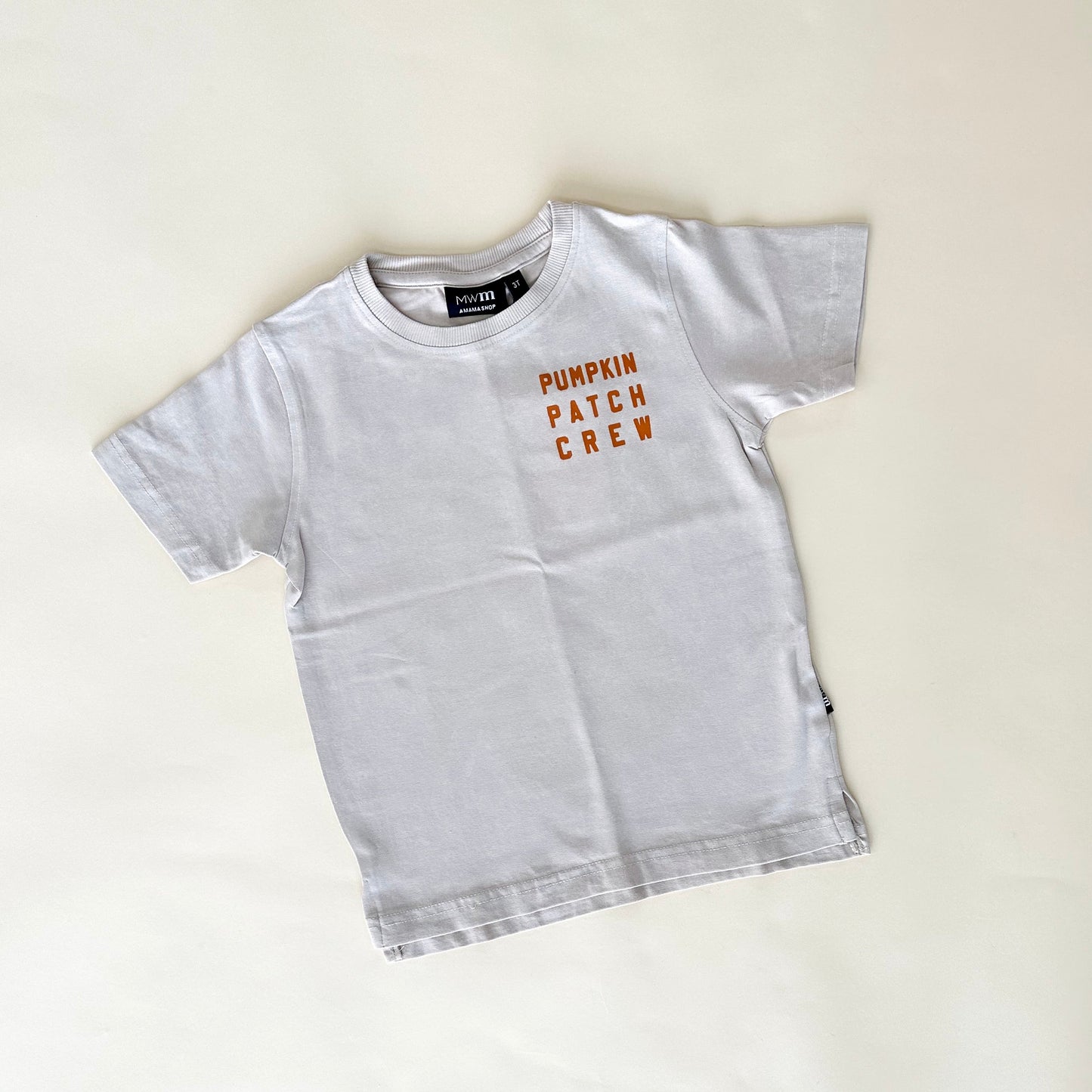 Pumpkin Patch Crew Acid Wash Tee - Neutral