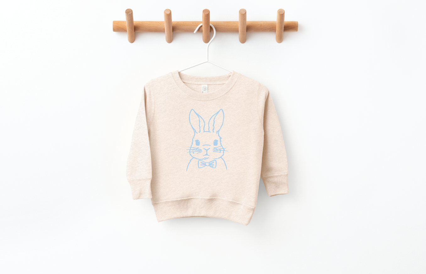 Boy Bunny Pullover